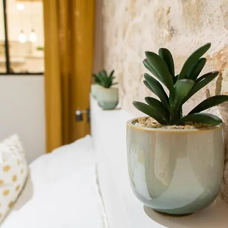 Apartament Cosy Nimes-centre Nîmes